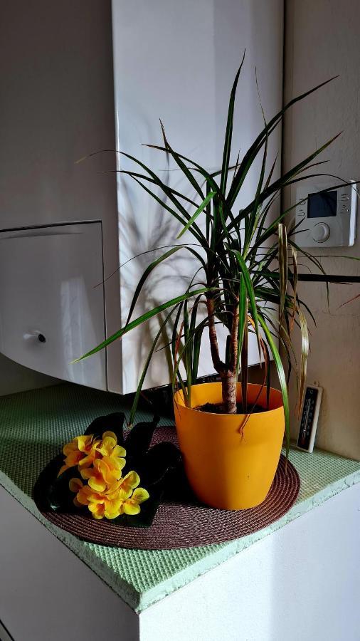 Apartement *Harzblick* Nordhausen Bagian luar foto